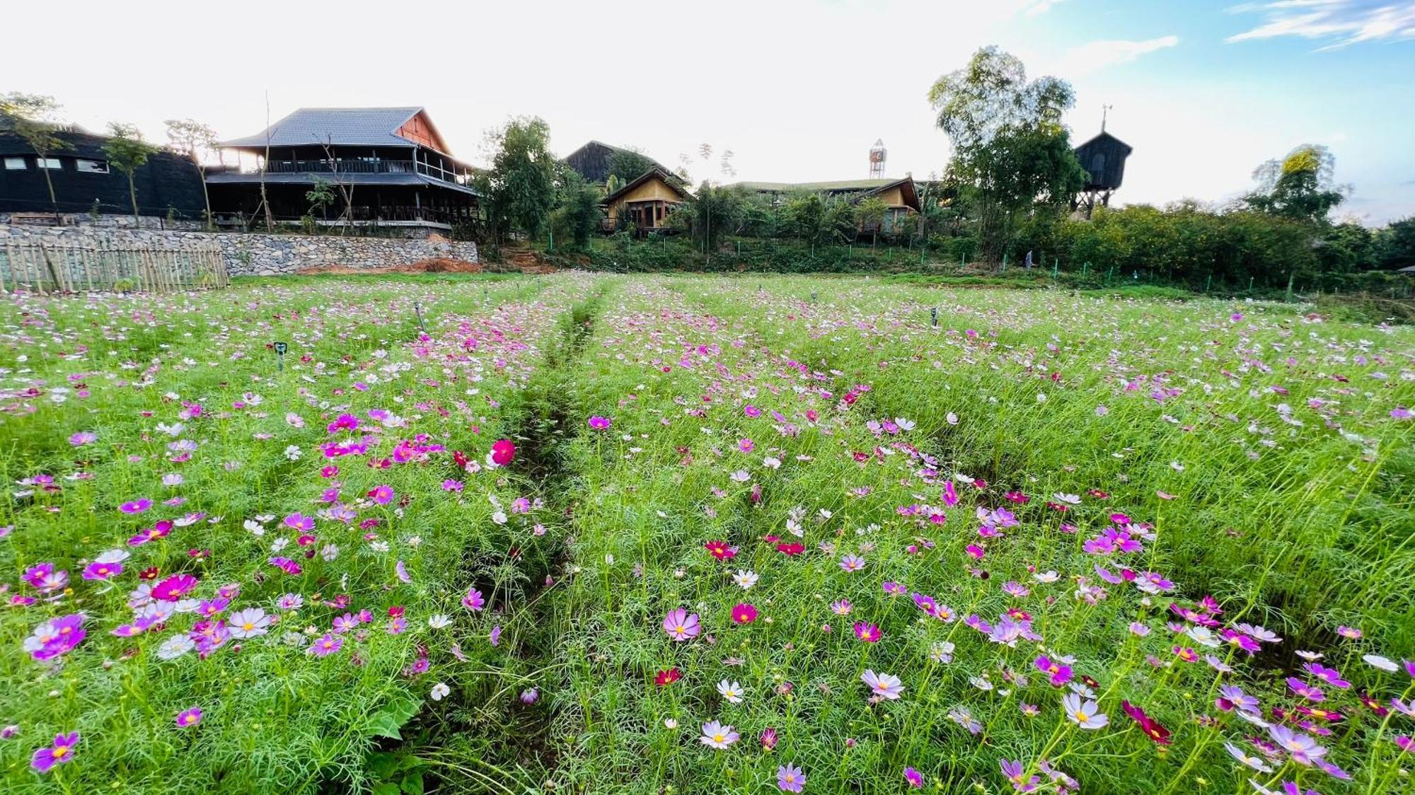 Satoyama Village Luong Son  Εξωτερικό φωτογραφία